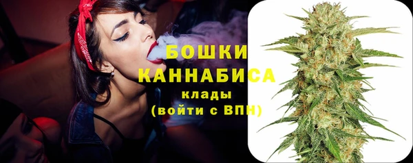 spice Вяземский