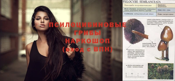 винт Вязьма