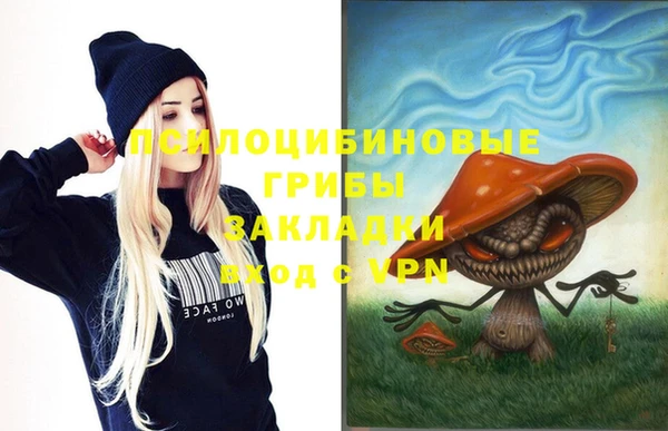 ГАЛЛЮЦИНОГЕННЫЕ ГРИБЫ Вязники