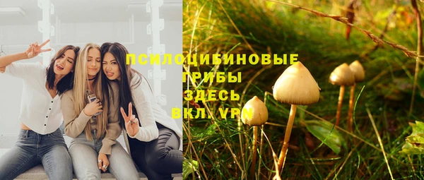 ГАЛЛЮЦИНОГЕННЫЕ ГРИБЫ Вязники