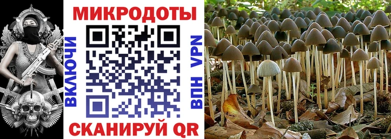 Купить  Ленск  Галлюциногенные грибы мицелий 